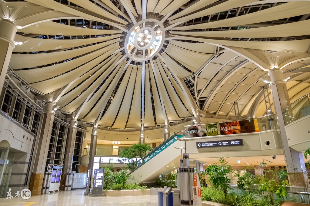 收藏日本旧货,日本购物必买清单带图