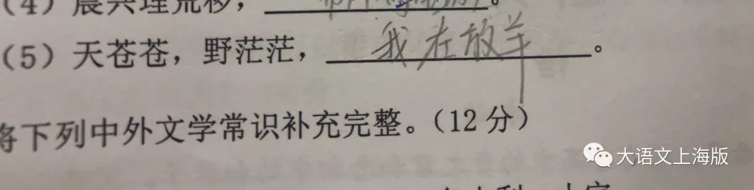错别字大王,错别字大王暑期计划