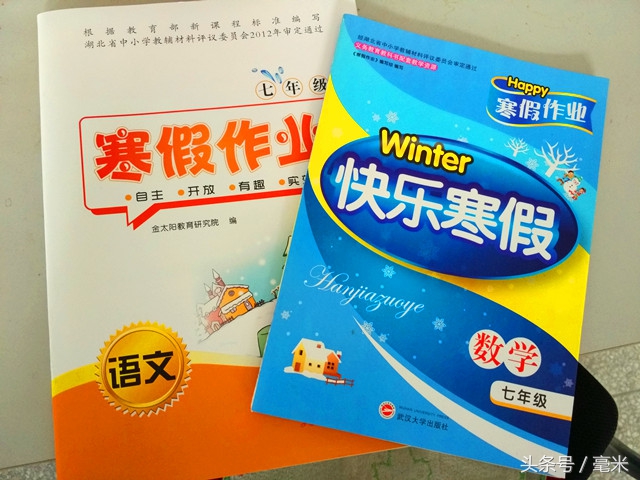 如何防止孩子在寒假沉迷网络游戏,如何防止孩子寒假沉迷游戏