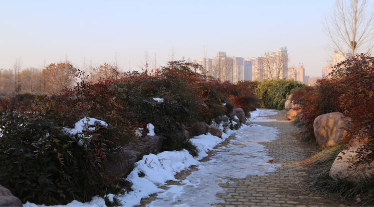 周一漫步隋唐植物园赏桃花,洛阳隋唐植物园春光
