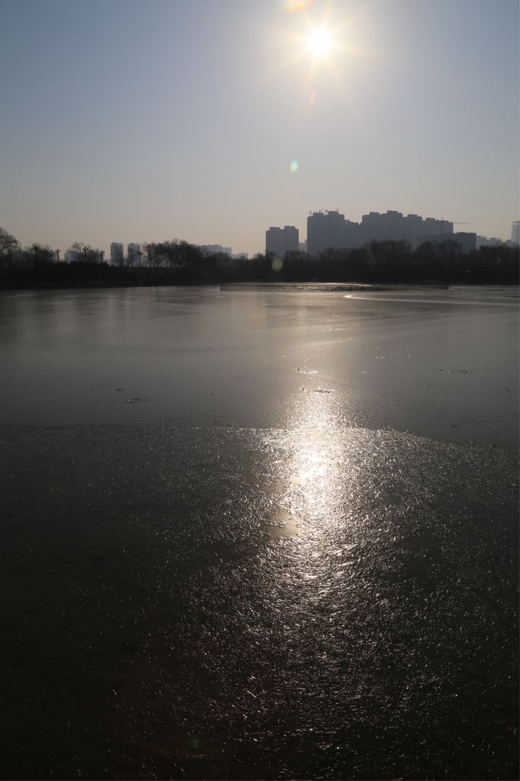 周一漫步隋唐植物园赏桃花,洛阳隋唐植物园春光