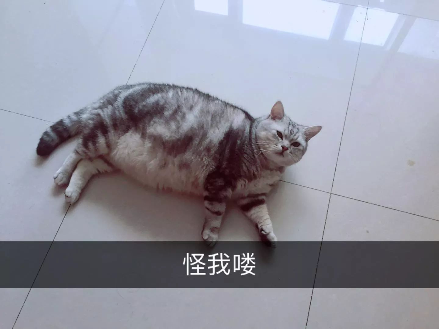 干货｜臭臭臭！怎么办？只需2秒，轻轻一喷，彻底告别尴尬！