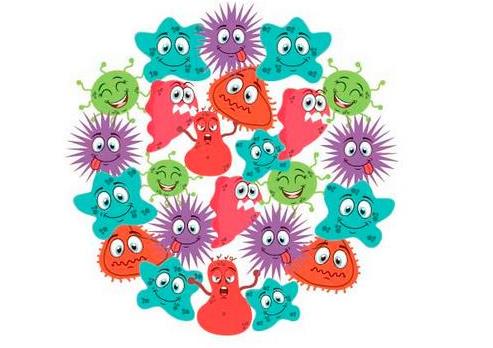 抗生素是细菌还是真菌,抗生素是指病毒还是细菌