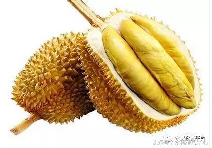 西瓜为什么是北瓜,为什么西瓜叫西瓜不叫绿瓜