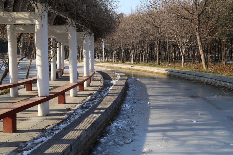 周一漫步隋唐植物园赏桃花,洛阳隋唐植物园春光