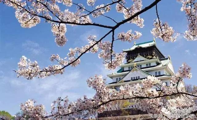 在新加坡申请日本旅游签证,在新加坡申请美国旅游签证