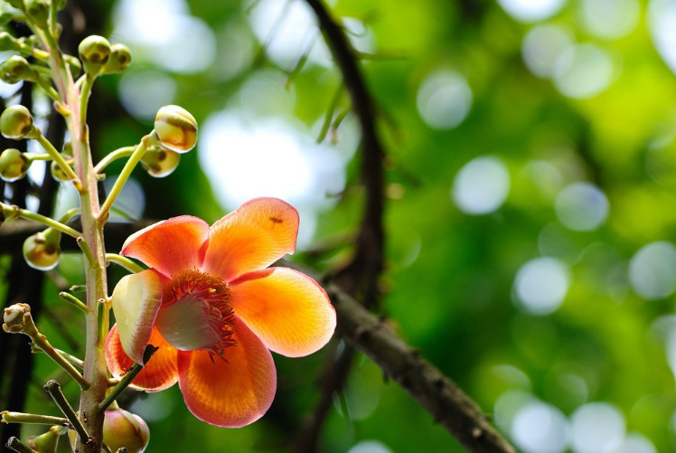 和同事有误会该怎么解决,和同事产生误会怎么消除