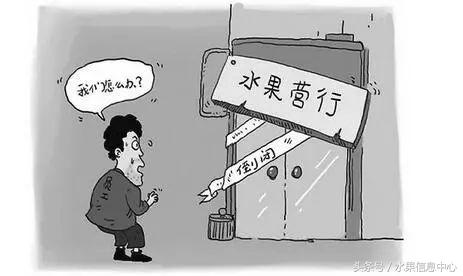 开水果店加盟哪个品牌比较好,开水果店新手加盟好还是自己开好