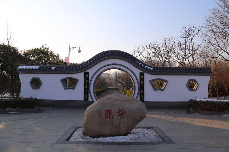 周一漫步隋唐植物园赏桃花,洛阳隋唐植物园春光