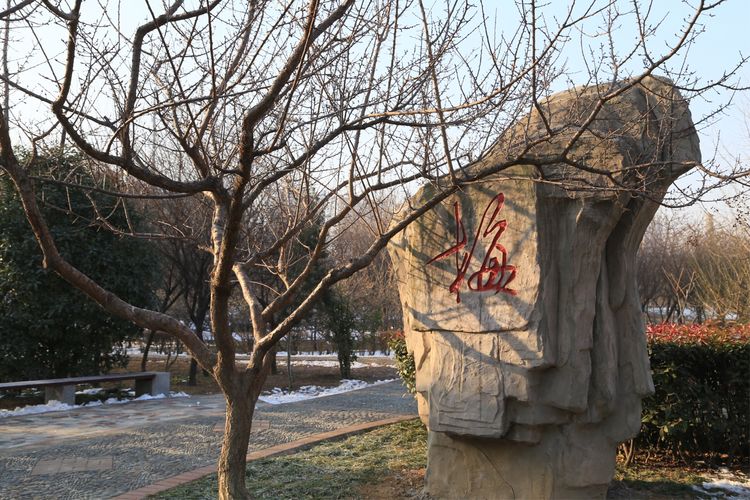 周一漫步隋唐植物园赏桃花,洛阳隋唐植物园春光