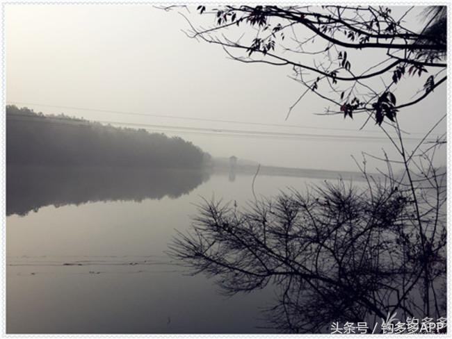 元旦出钓获大鲫，新年来个开门红