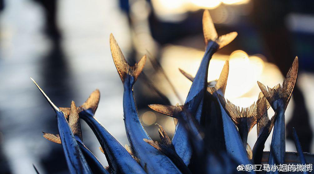 前任3林佳最后一个人出去旅游,前任3林佳走的片段