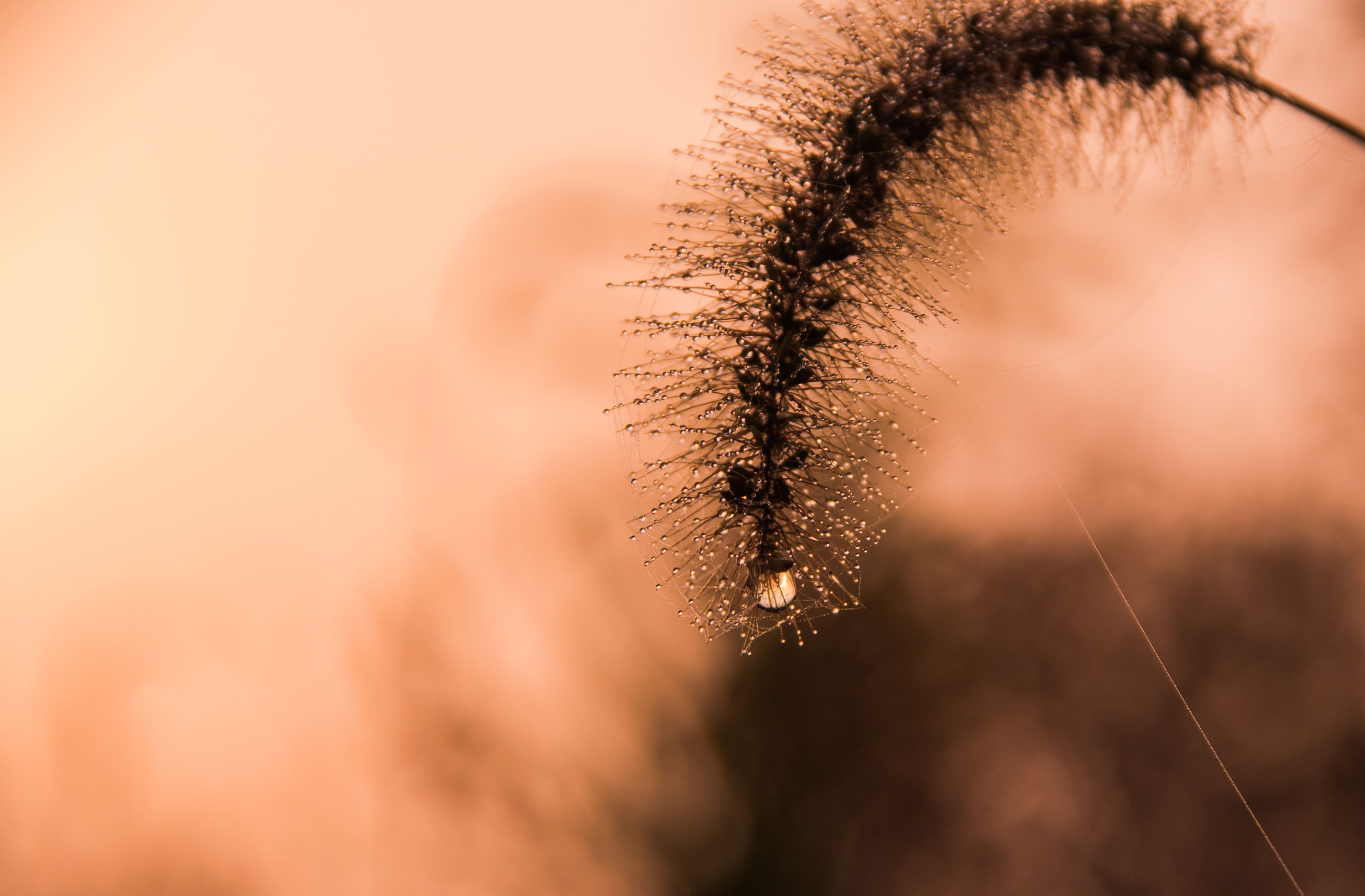 ipad绘画怎么部分上色,ipad画画如何拍摄出大片感觉