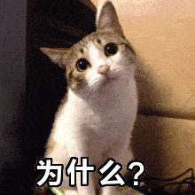 猫在交配时的快感，和人有什么不同？