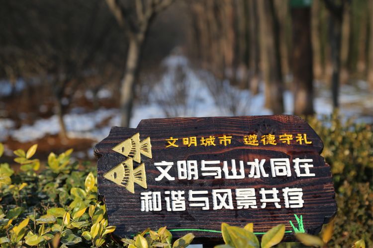 周一漫步隋唐植物园赏桃花,洛阳隋唐植物园春光