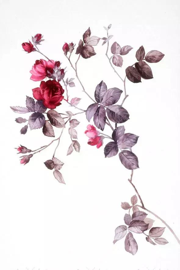 海报ps剪贴蒙版效果,ps液化工具蒙版选项