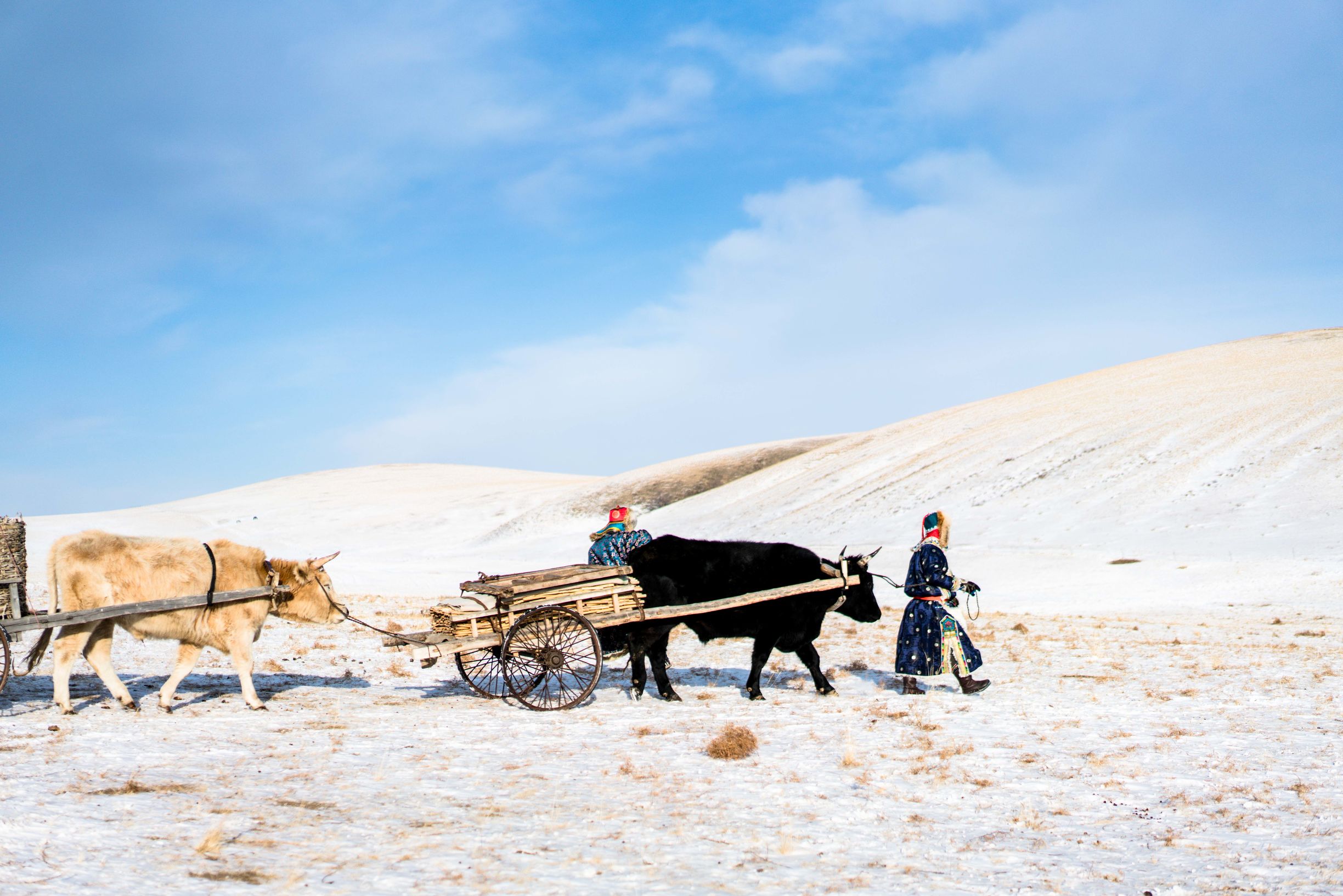 冰雪那达慕大会,冰雪那达慕完整版开幕式