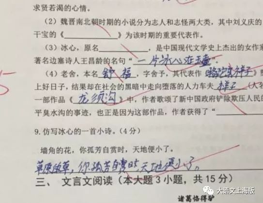 错别字大王,错别字大王暑期计划