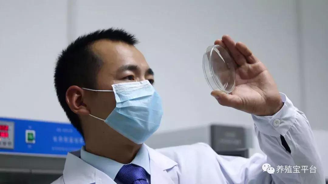 旭牧通创业,旭牧通2020年