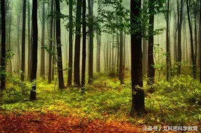 科学是由幻想开始的,科学本来就是充满幻想