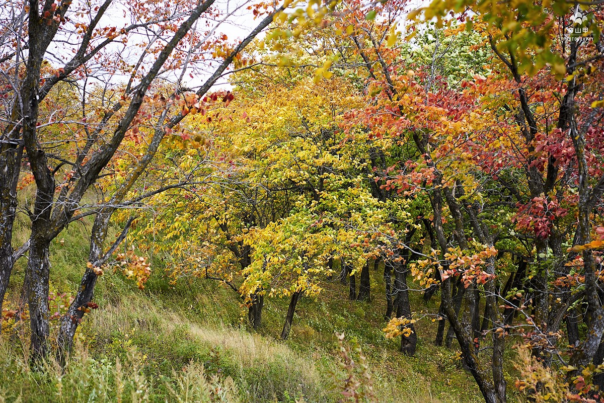 俄罗斯远东小镇全景,俄罗斯边疆区小镇