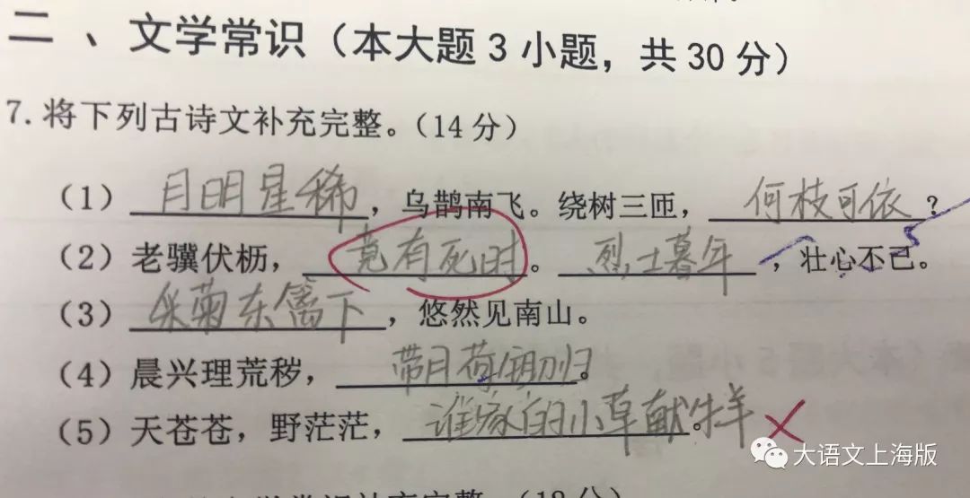 错别字大王,错别字大王暑期计划