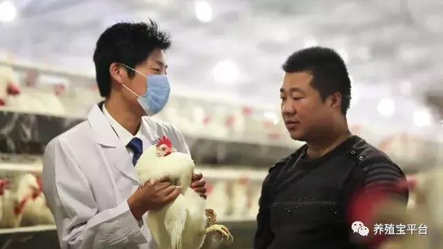 旭牧通创业,旭牧通2020年