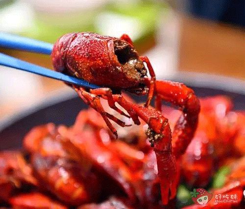 5折烧烤,5折烧烤店