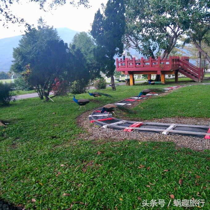 去台湾跟团游还是自由行,第一次去台湾跟团好还是自由行好