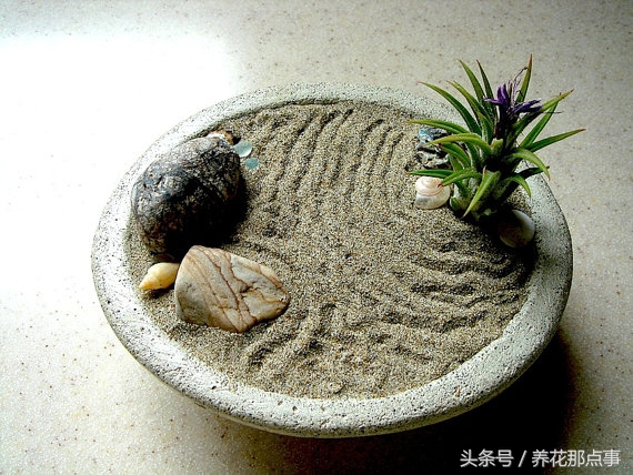 在办公室里应该摆什么样的花,高山流水盆景办公室小禅意