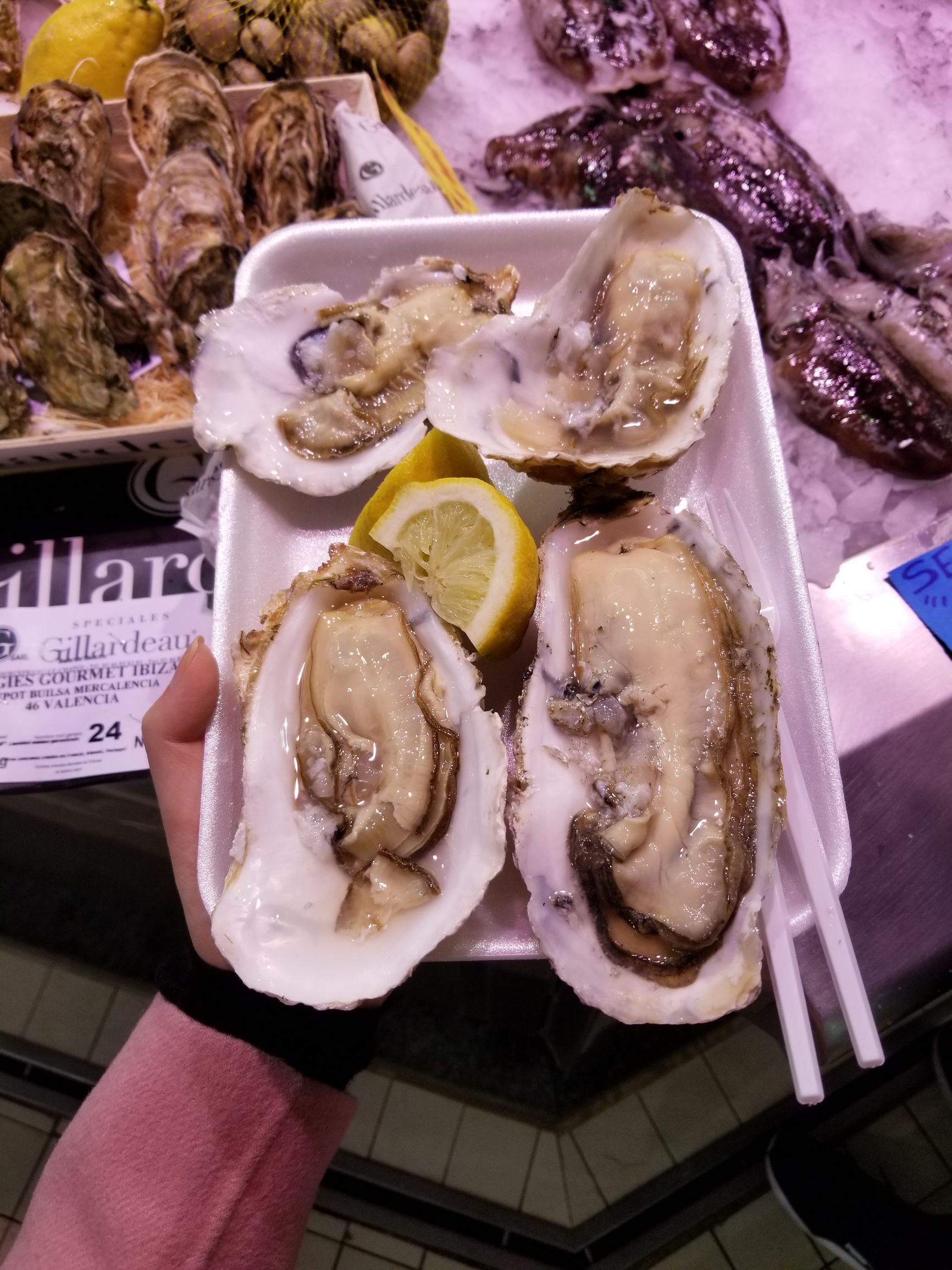 朝圣伯纳乌之旅,朝圣之旅深度解析