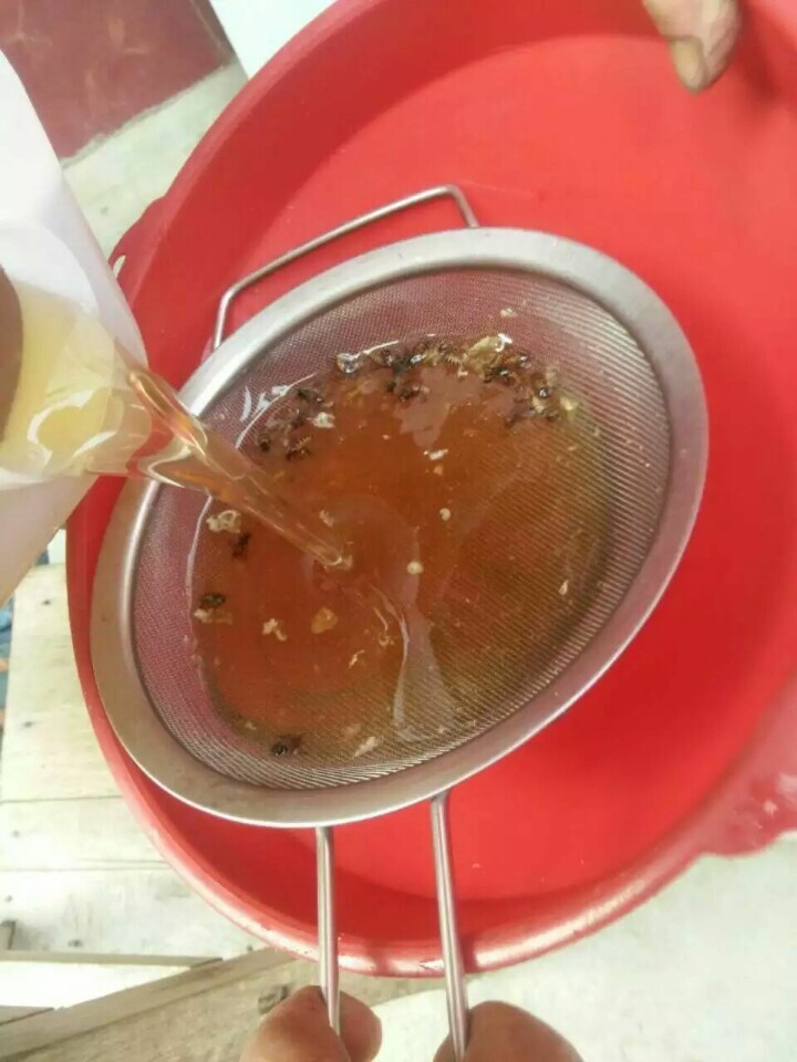 蜂收回来又回原蜂箱什么原因,收回的蜂抱团怎么回事