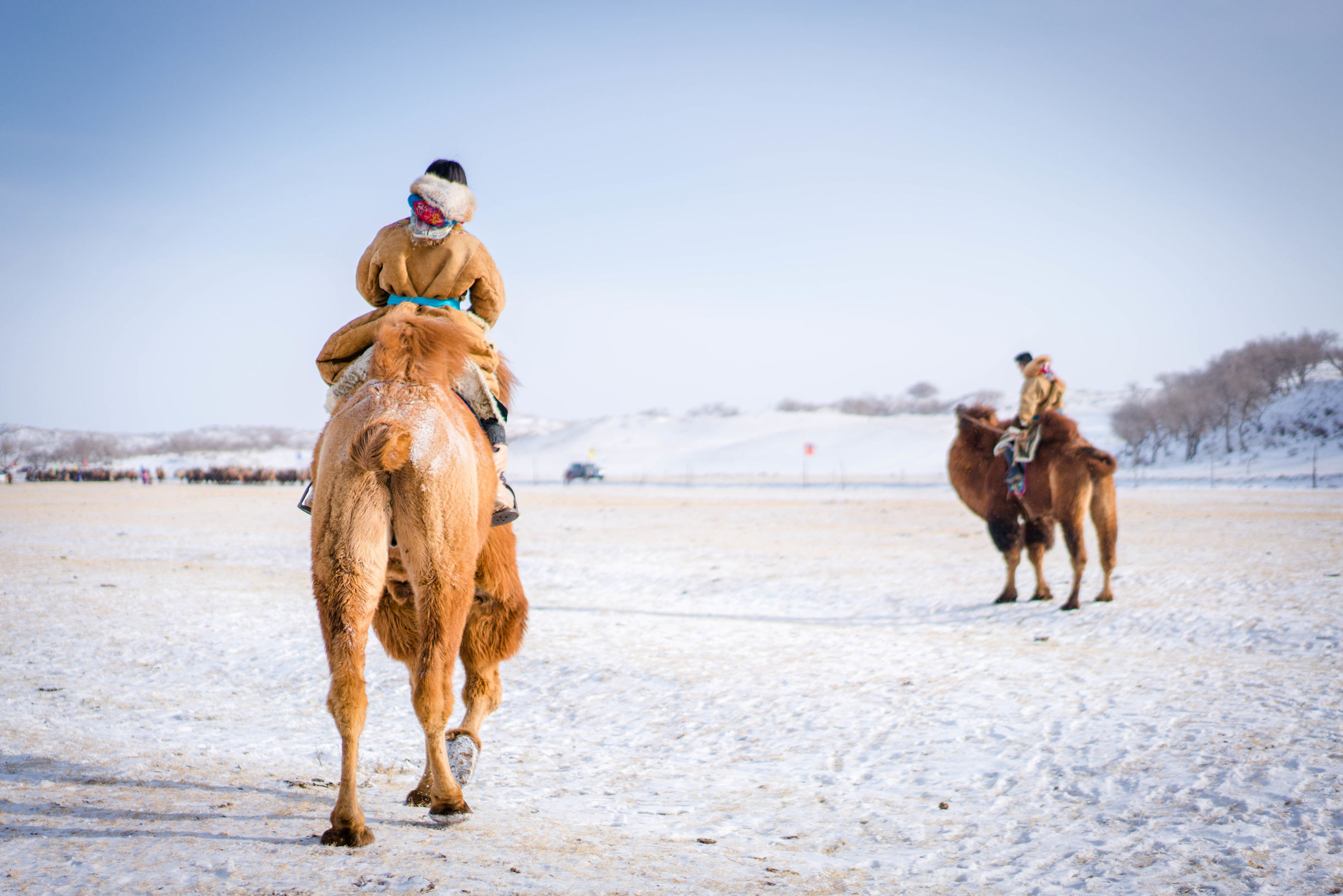 冰雪那达慕大会,冰雪那达慕完整版开幕式