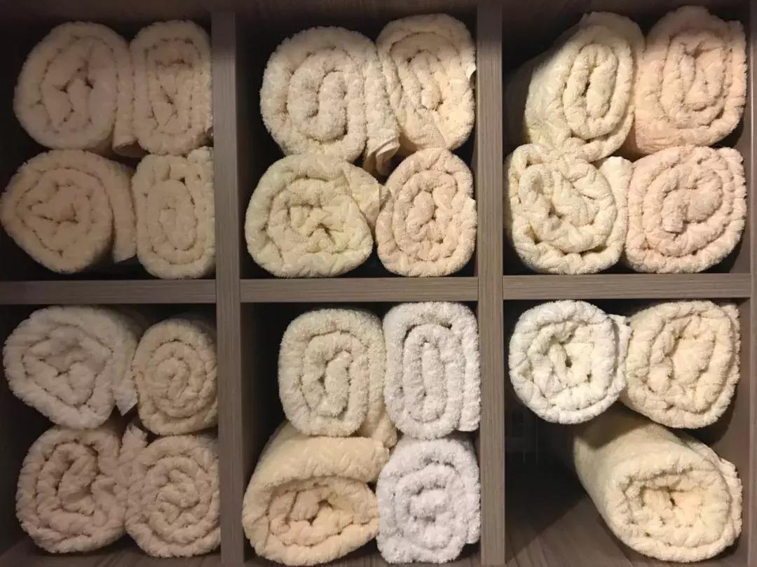 邮轮出国游量子号攻略,不用签证去日本