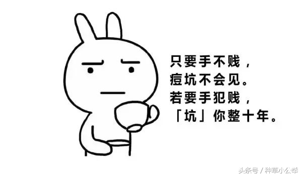 手贱抠痘后抹什么药,手贱挤痘了怎么办