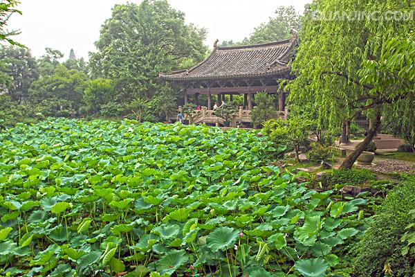 千古绝唱的爱情故事陆游,陆游最感人肺腑的一首爱情诗