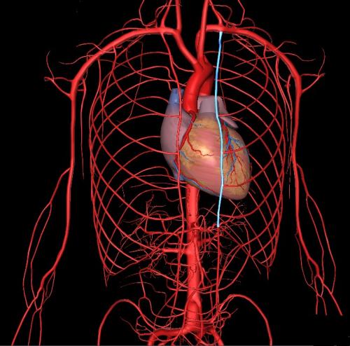 肺心病能引起哪些疾病,肺心病人心脏疼怎么办