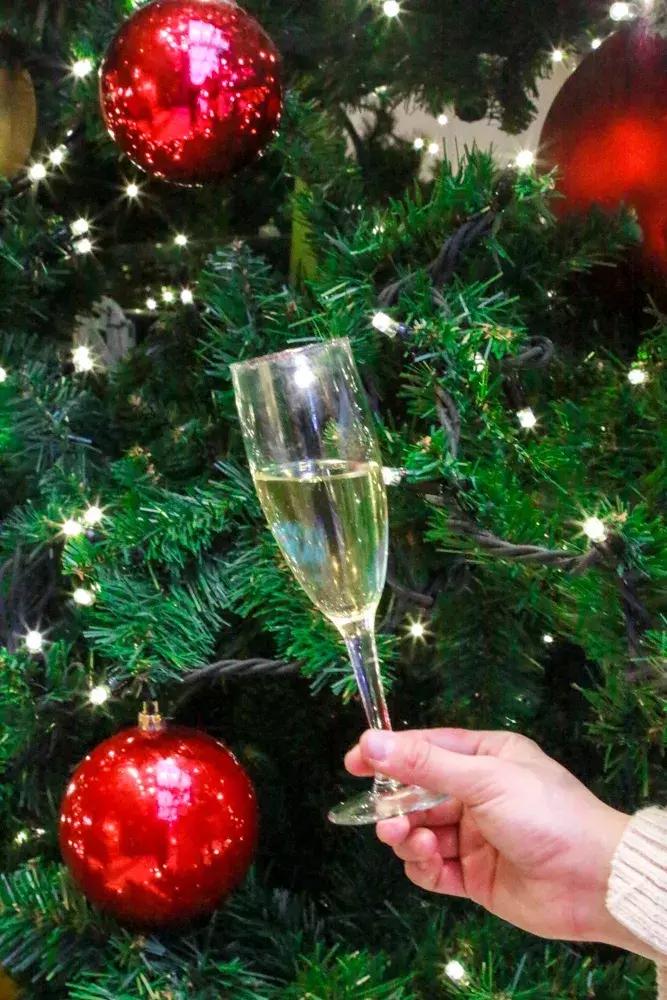 邮轮出国游量子号攻略,不用签证去日本