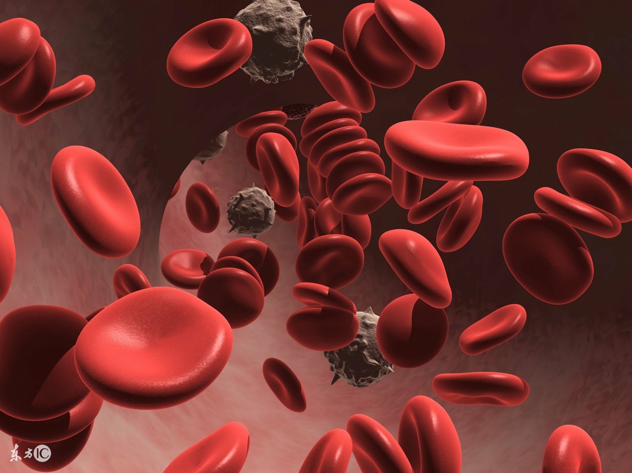 空腹血糖6.9餐后血糖正常怎么调节,血糖空腹7.9饮食关注什么