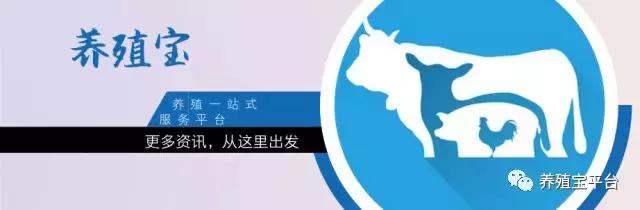 旭牧通创业,旭牧通2020年