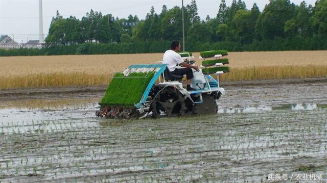 帮农民增产创收,帮农民赚钱的是真的吗