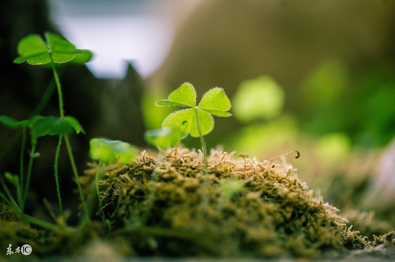 为什么你的好心会招致别人反感,为什么自己总是得不到别人的认可