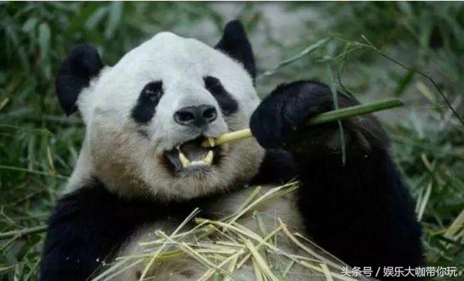 女朋友胸小怎么哄,女朋友胸小怎么办吃什么补