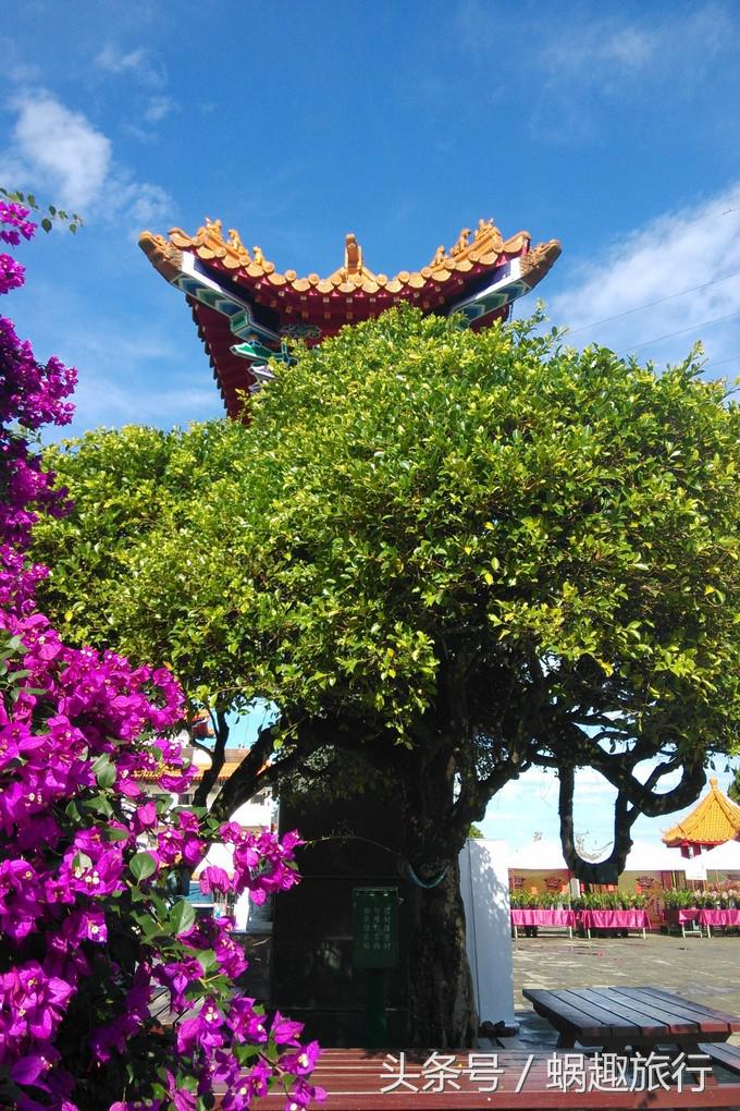 去台湾跟团游还是自由行,第一次去台湾跟团好还是自由行好