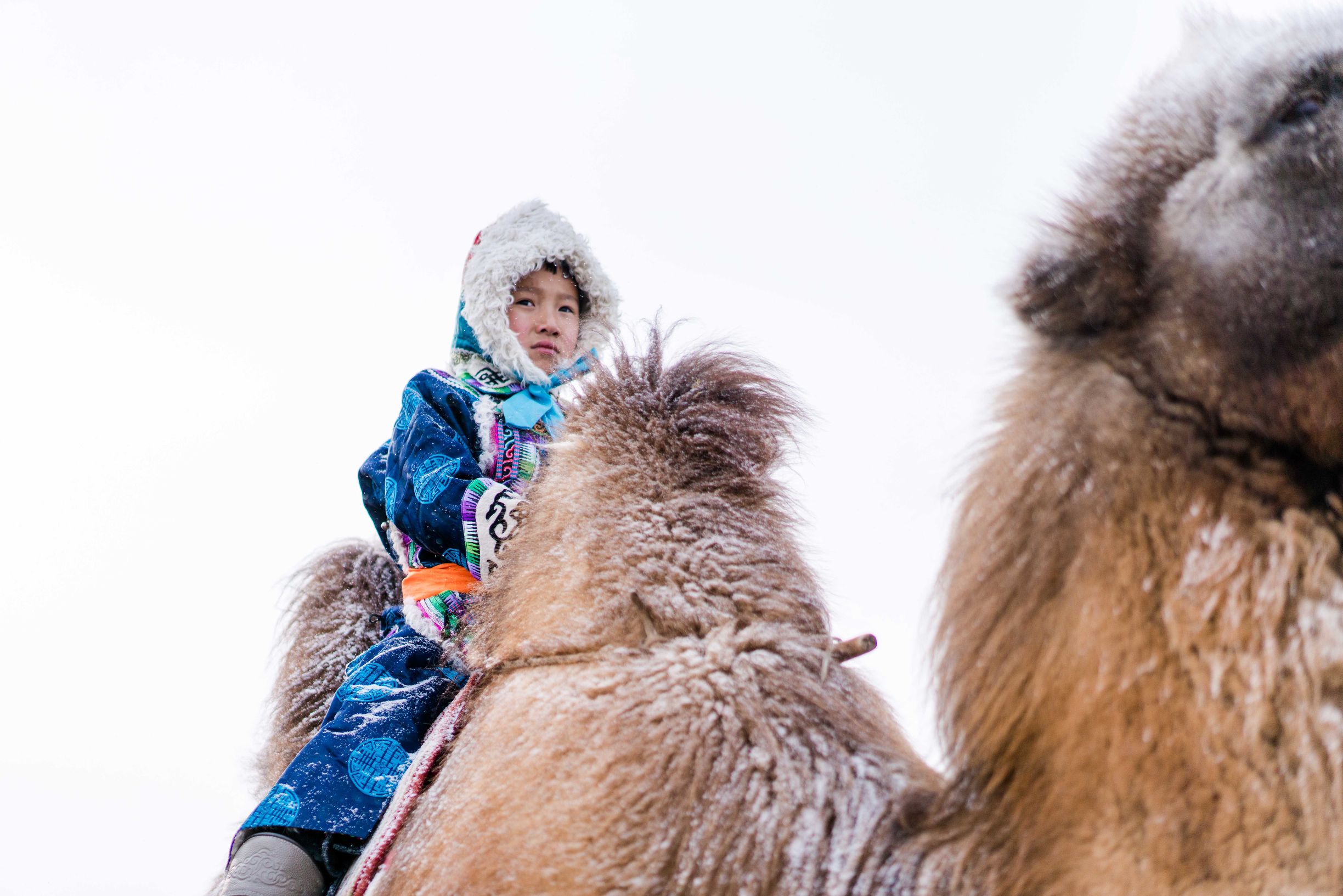 冰雪那达慕大会,冰雪那达慕完整版开幕式