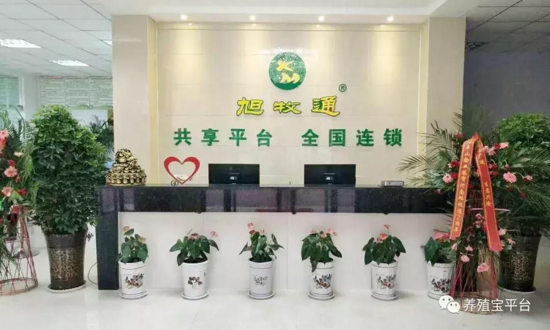 旭牧通创业,旭牧通2020年