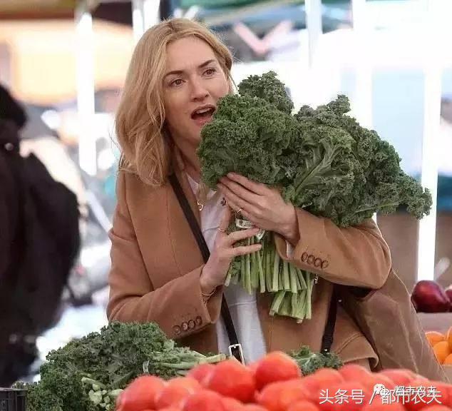 网红果蔬系列,网红蔬果脆真的好吃吗