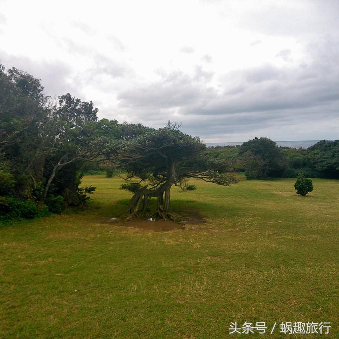 去台湾跟团游还是自由行,第一次去台湾跟团好还是自由行好