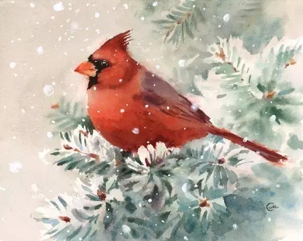 水彩密密麻麻的小花怎么留白,水彩留白法教程