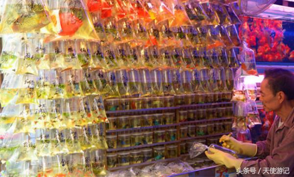 去香港玩必去的电影拍摄地,香港经典电影旅游攻略